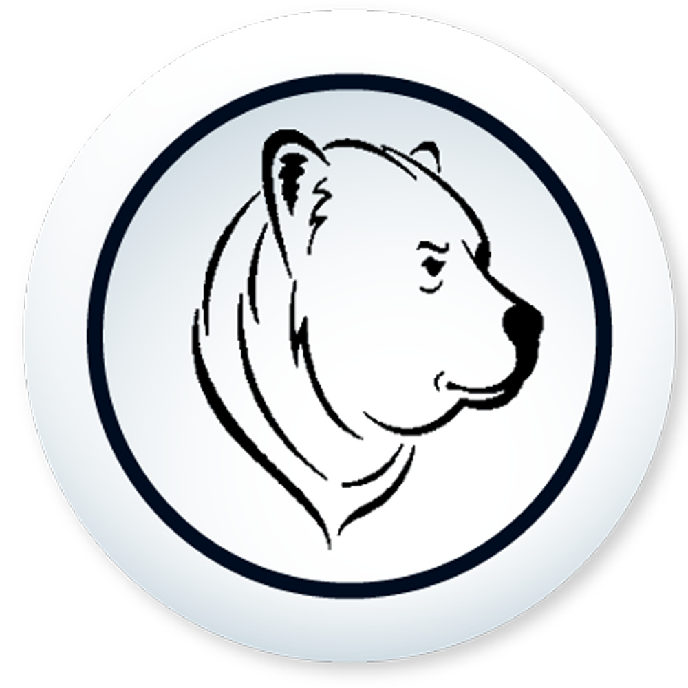 Big Bear Computer